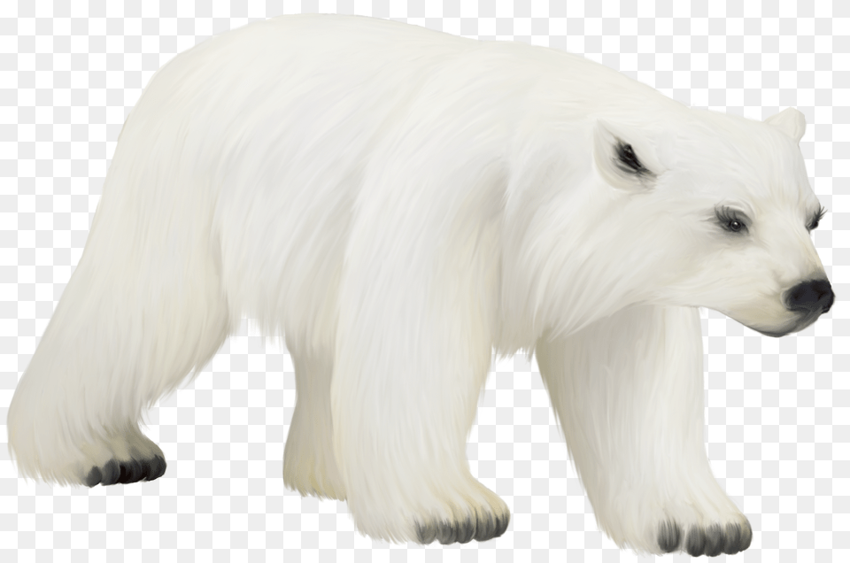 Polar Bear Bird Animal Clip Art Polar Bear, Mammal, Wildlife, Polar Bear, Person Png