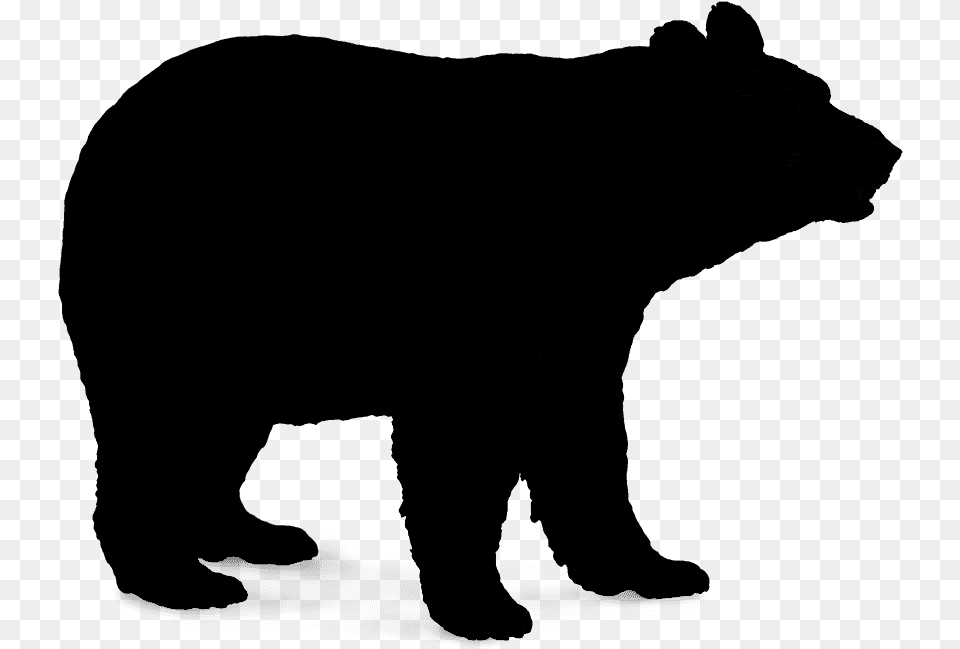 Polar Bear Brown Bear American Black Bear Vector Graphics Vector Black Bear, Gray Free Transparent Png