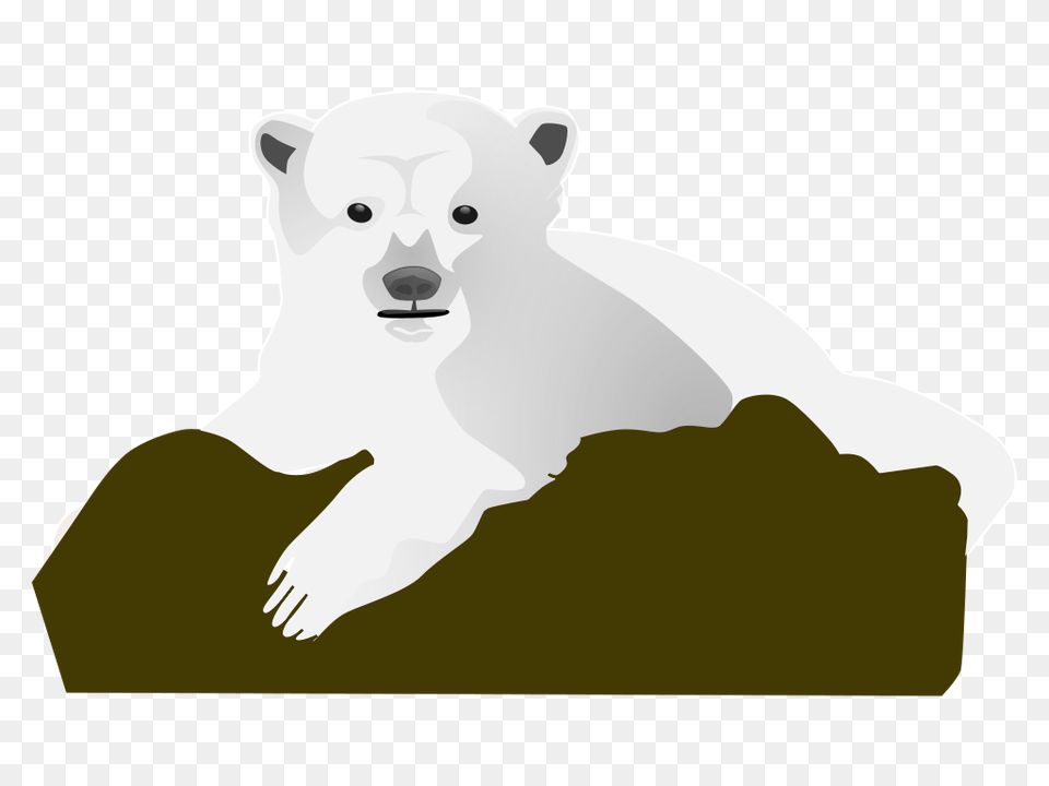Polar Bear Clip Art, Animal, Mammal, Wildlife, Polar Bear Free Png Download