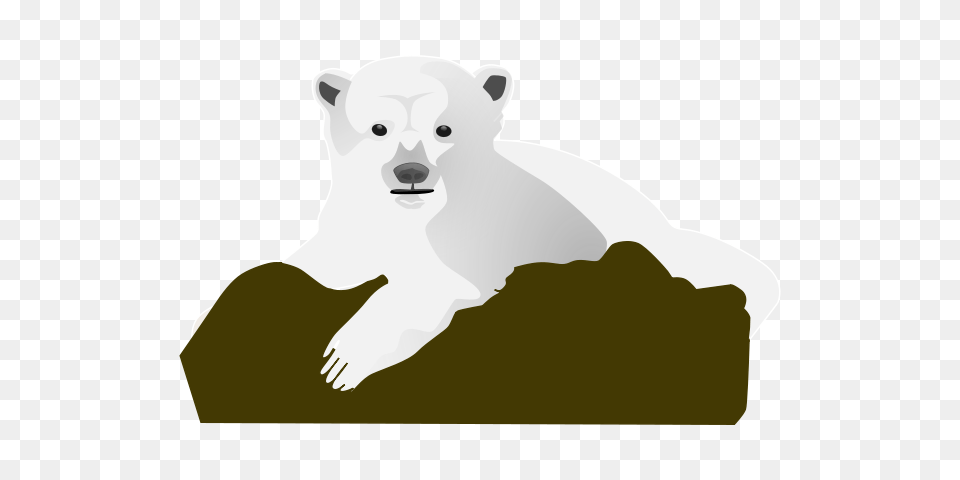 Polar Bear Clip Art, Animal, Mammal, Wildlife, Polar Bear Free Png