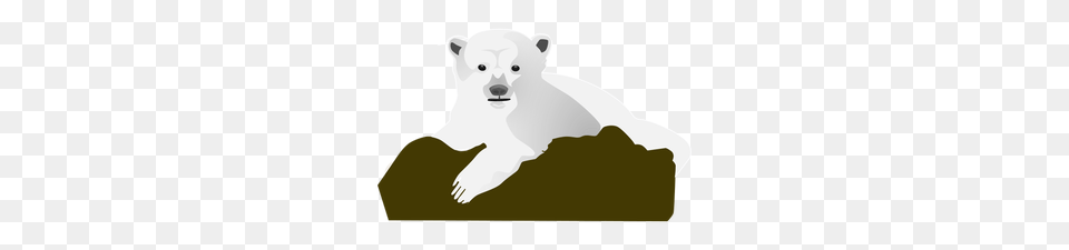 Polar Bear Clip Art For Kids, Animal, Mammal, Wildlife, Polar Bear Png Image