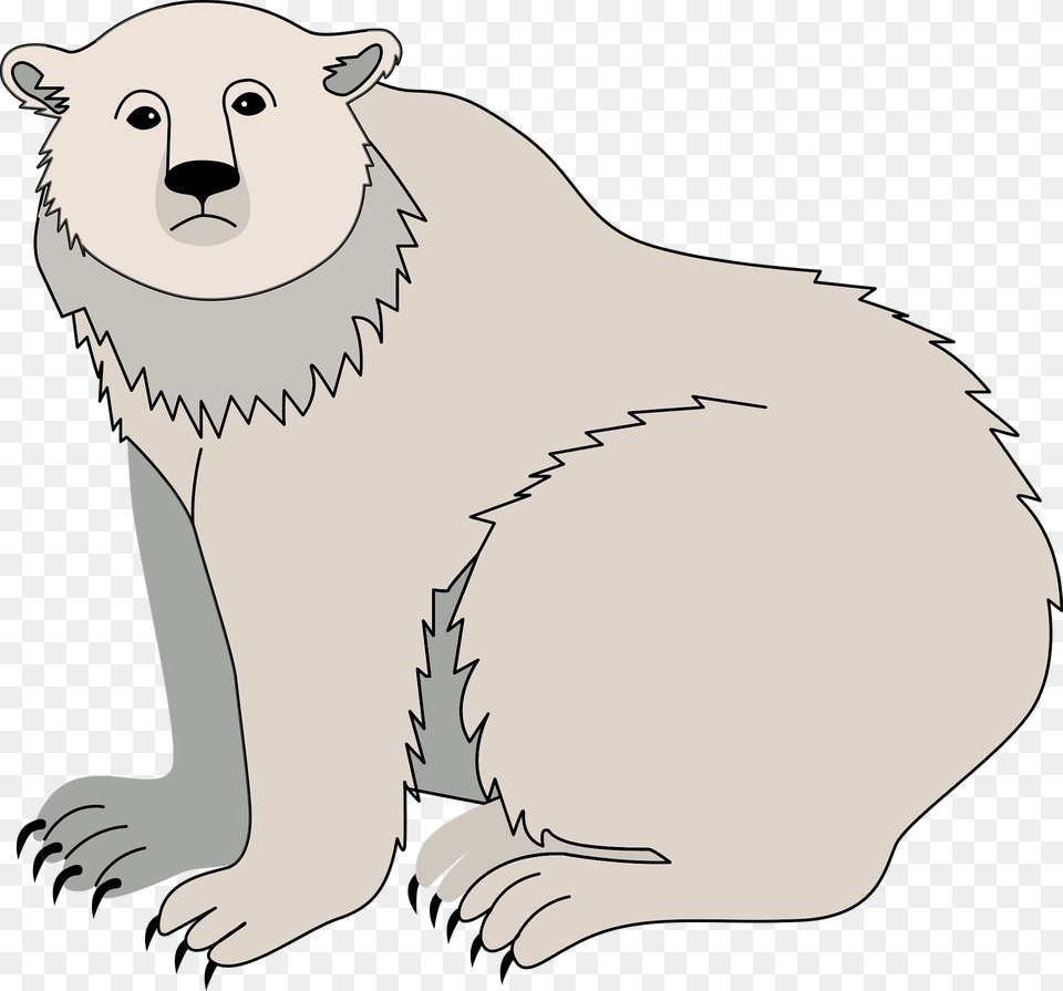 Polar Bear Clipart, Animal, Kangaroo, Mammal, Wildlife Free Transparent Png