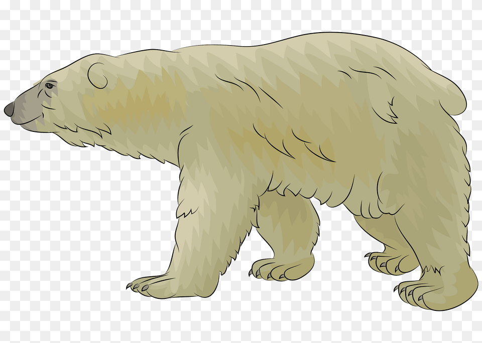 Polar Bear Clipart, Animal, Mammal, Wildlife, Polar Bear Free Png Download