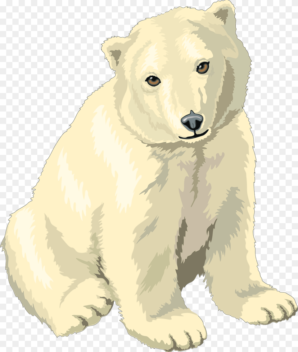 Polar Bear Clipart, Animal, Mammal, Wildlife, Polar Bear Png Image