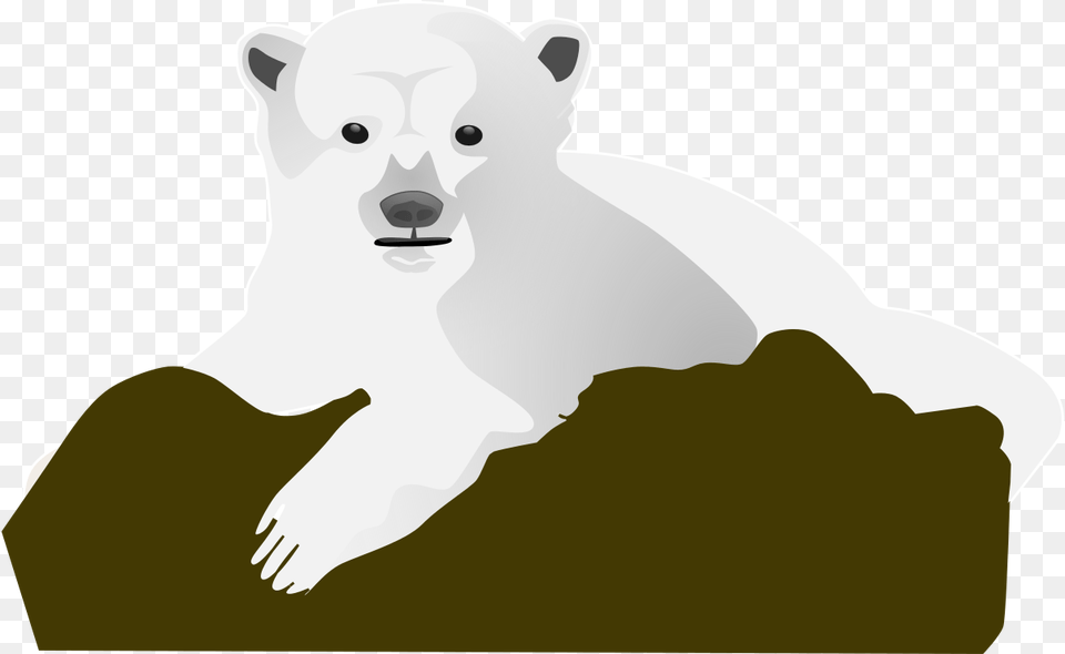 Polar Bear Clipart Polar Bear Vector, Animal, Mammal, Wildlife, Polar Bear Png