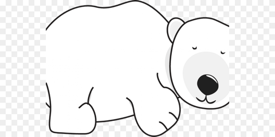 Polar Bear Clipart Reading Book, Accessories, Sunglasses, Animal, Wildlife Png