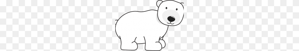Polar Bear Clipart School Clipart, Animal, Wildlife, Mammal Free Transparent Png