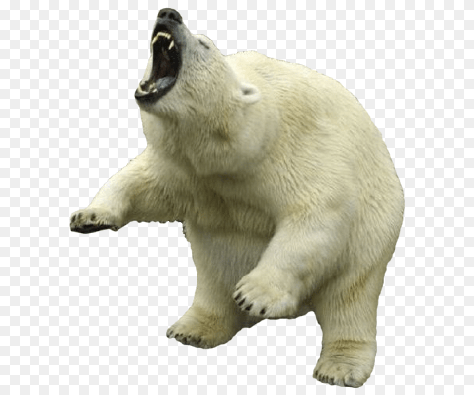 Polar Bear Clipart Transparent Polar Bear, Animal, Mammal, Wildlife, Polar Bear Png Image