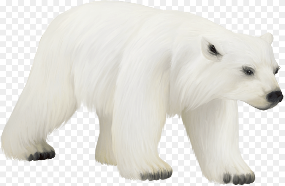 Polar Bear Cub Clipart Polar Bear, Animal, Mammal, Wildlife, Polar Bear Png