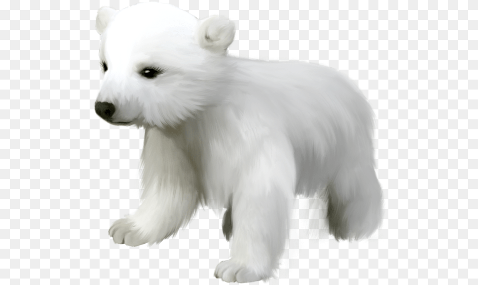 Polar Bear Cute Polar Bear Clipart, Animal, Canine, Dog, Mammal Png