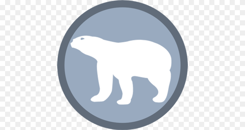 Polar Bear Facts, Animal, Mammal, Wildlife, Polar Bear Free Png Download