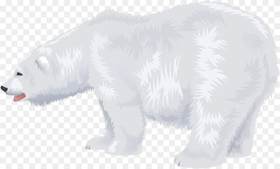 Polar Bear Free Transparent Portable Network Graphics, Animal, Mammal, Wildlife, Polar Bear Png Image
