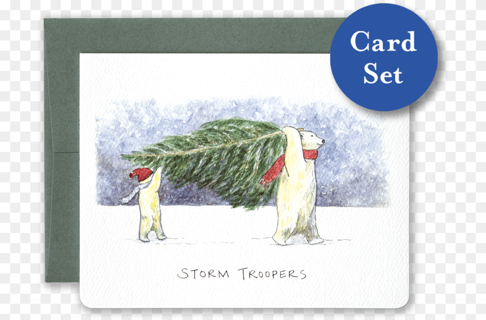 Polar Bear Holiday Greeting Card, Animal, Baby, Bird, Chicken Free Png