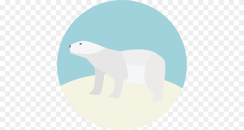 Polar Bear Image Royalty Stock Images For Your Design, Animal, Wildlife, Mammal, Fish Free Png Download