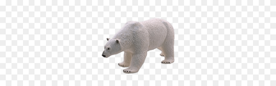 Polar Bear Plastic Model, Animal, Mammal, Wildlife, Polar Bear Free Png