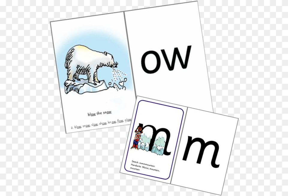 Polar Bear Read Write Inc Set 2 3 Speed Sound Cards Pack Of, Advertisement, Poster, Person, Text Free Transparent Png