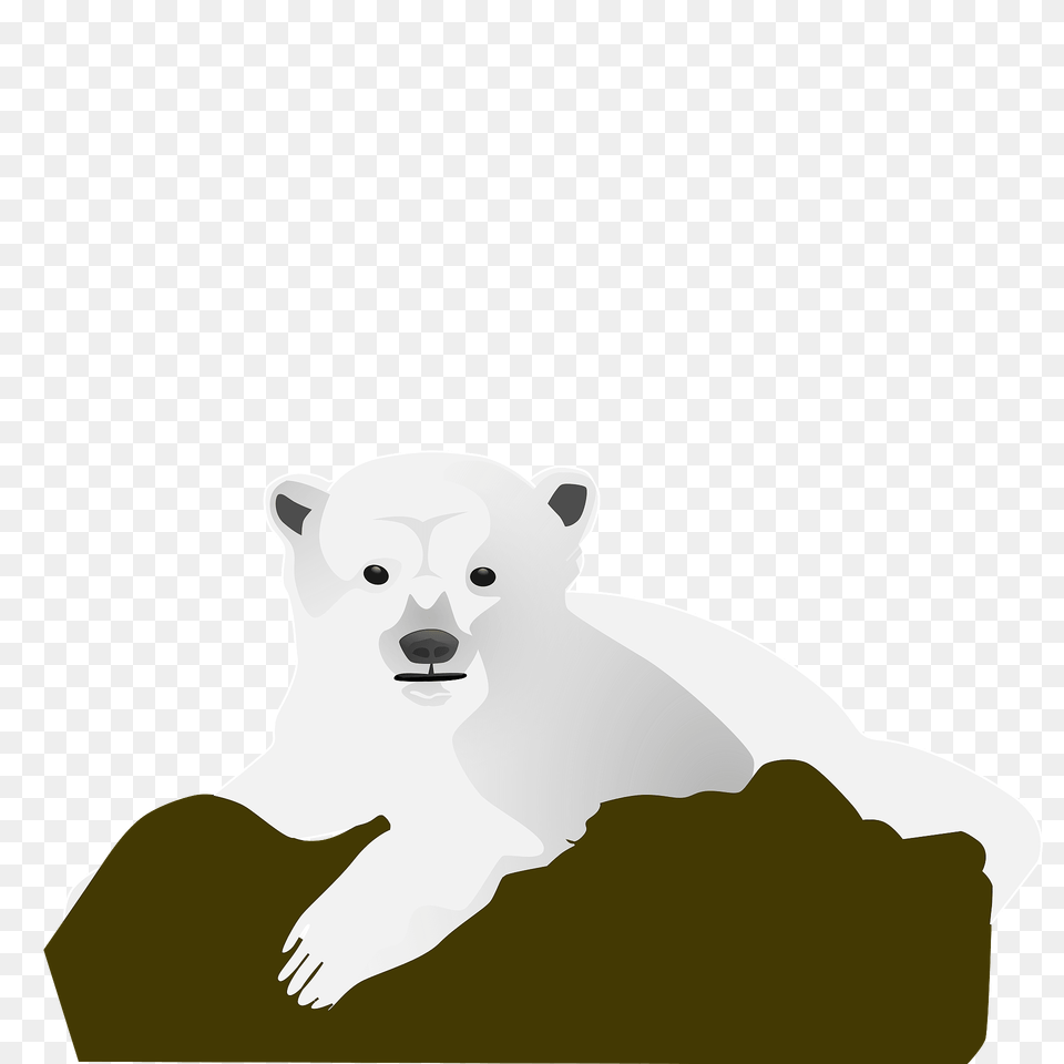 Polar Bear Resting On A Rock Clipart, Animal, Mammal, Wildlife, Polar Bear Png