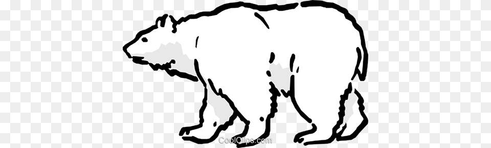 Polar Bear Royalty Vector Clip Art Illustration, Animal, Mammal, Kangaroo, Wildlife Png