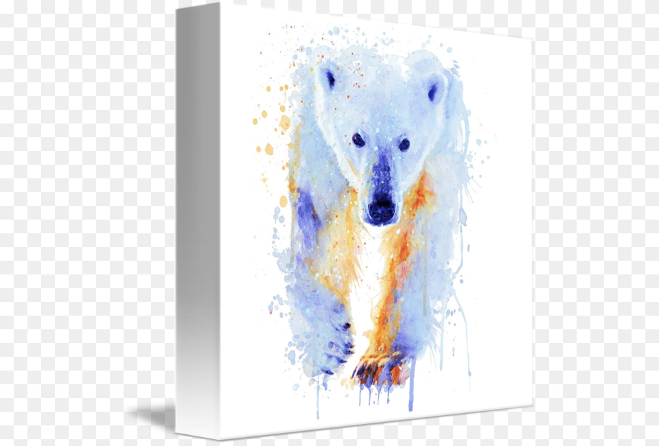 Polar Bear Watercolor, Animal, Mammal, Wildlife, Polar Bear Png Image