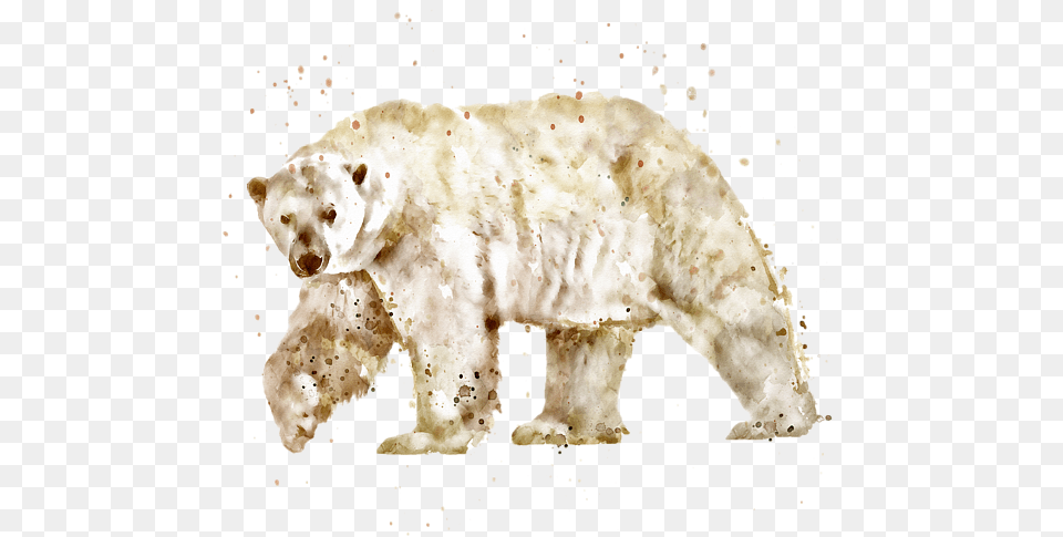 Polar Bear Watercolor Marian Voicu Transparent Watercolor Painting, Animal, Mammal, Wildlife, Polar Bear Free Png