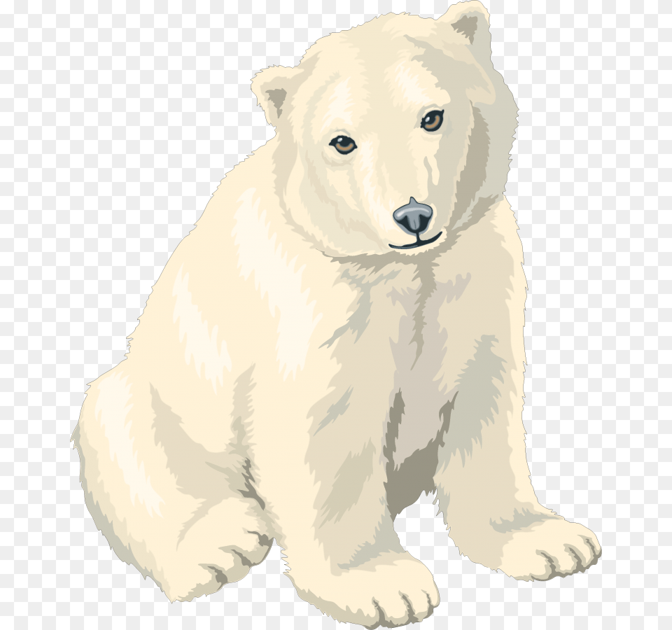 Polar Cub Clip Art Polar Bear, Animal, Mammal, Wildlife, Polar Bear Free Png