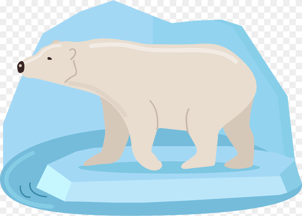 Polar Express Clipart, Animal, Bear, Mammal, Wildlife Png Image