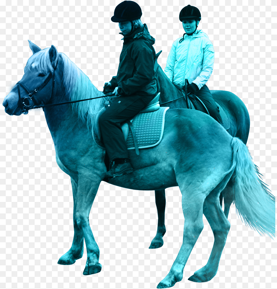 Polar Lights Tours Stallion, Adult, Man, Male, Person Free Png