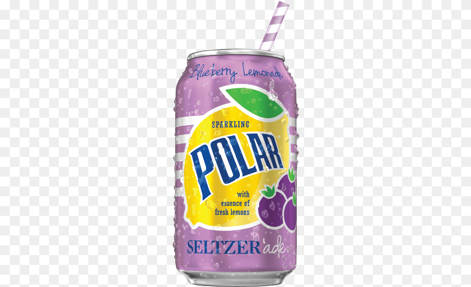 Polar Seltzer Can Flavors, Tin Png