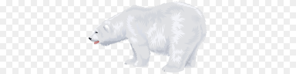 Polar White Bear Dlpng, Animal, Mammal, Wildlife, Pig Free Png