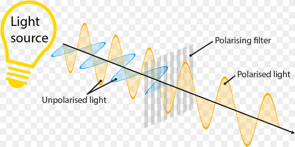 Polarization Of Light, Lighting Free Png Download