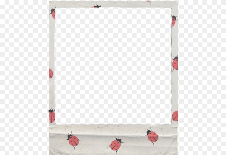 Polaroid Aesthetic Frame Ladybug Garden Roses, Leaf, Plant, Animal, Insect Free Transparent Png