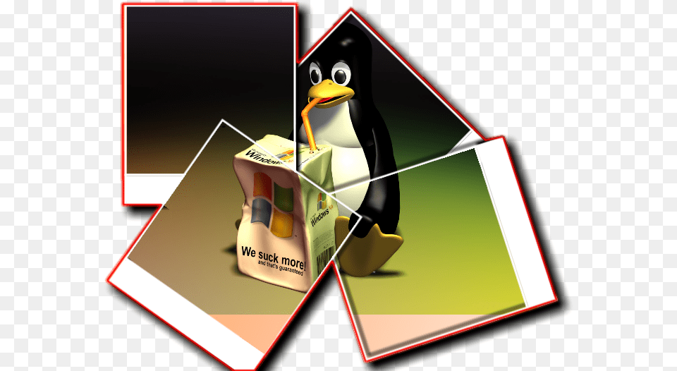 Polaroid Border, Advertisement Free Transparent Png