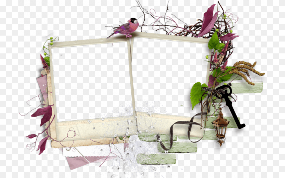 Polaroid Flower Frame Frame, Plant, Flower Arrangement, Flower Bouquet, Ikebana Free Transparent Png