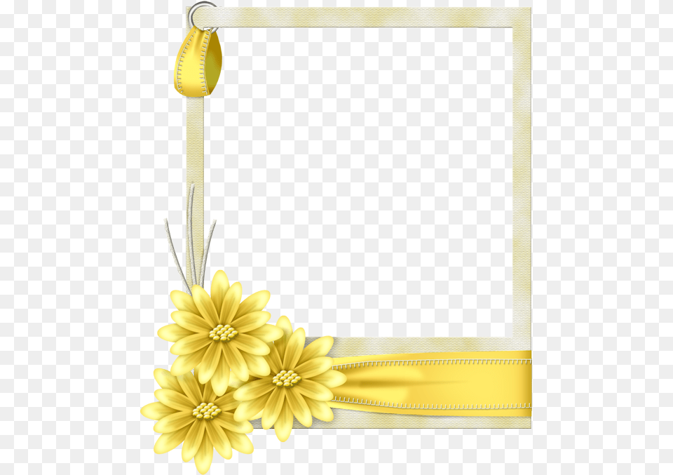 Polaroid Frame Flowers, Flower, Plant, Daisy Free Transparent Png