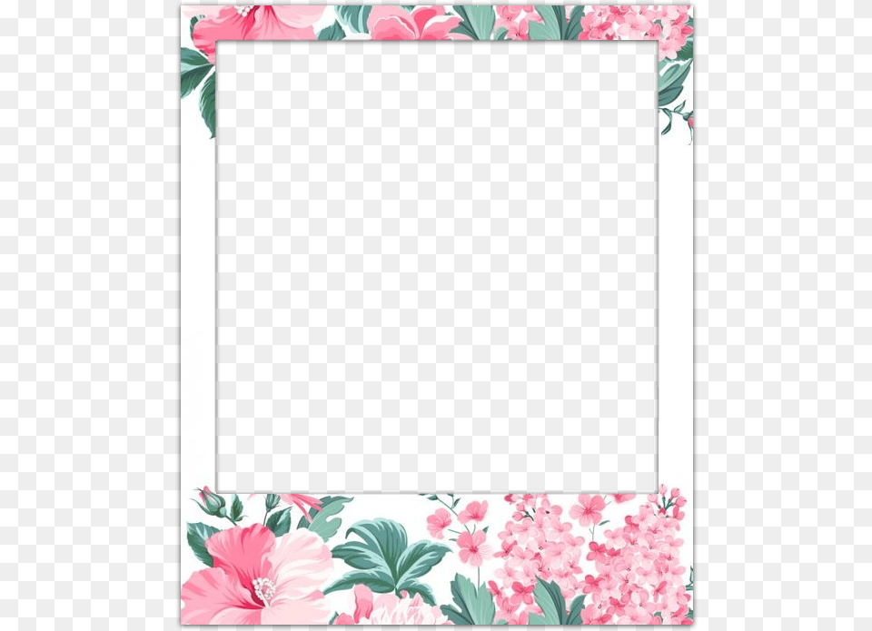 Polaroid Overlay, Art, Floral Design, Flower, Graphics Free Transparent Png