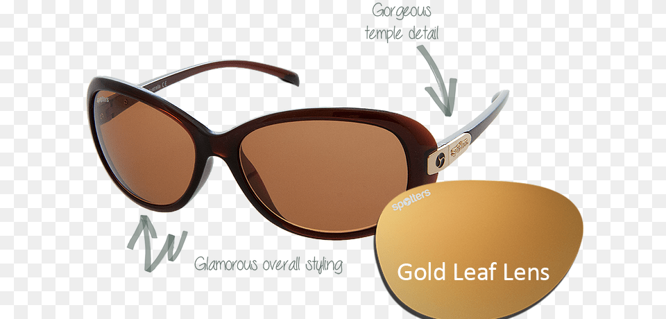 Polaroid Sunglasses Dk Havana, Accessories, Glasses Free Png Download