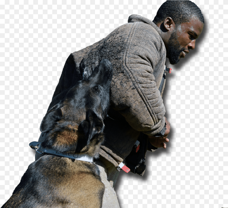 Police Dog, Adult, Pet, Person, Man Png Image