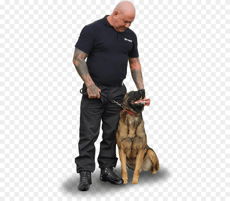 Police Dog, Animal, Canine, Police Dog, Mammal Free Transparent Png