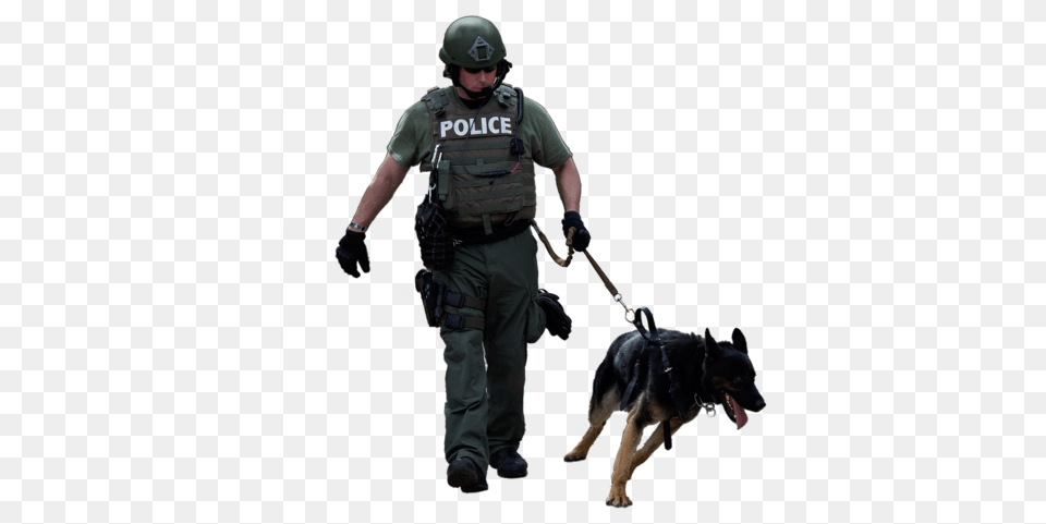 Police Dog Dog Breed Leash Police Dog, Police Dog, Animal, Canine, Pet Free Transparent Png