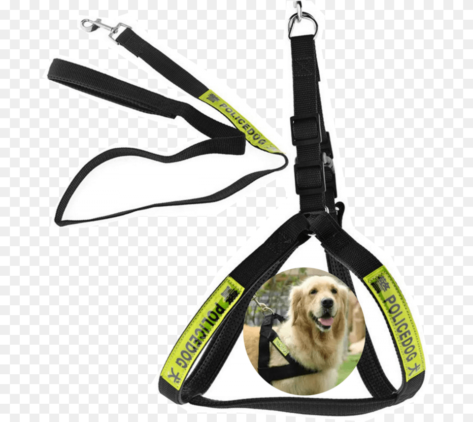 Police Dog Dog Rope, Animal, Canine, Mammal, Pet Png