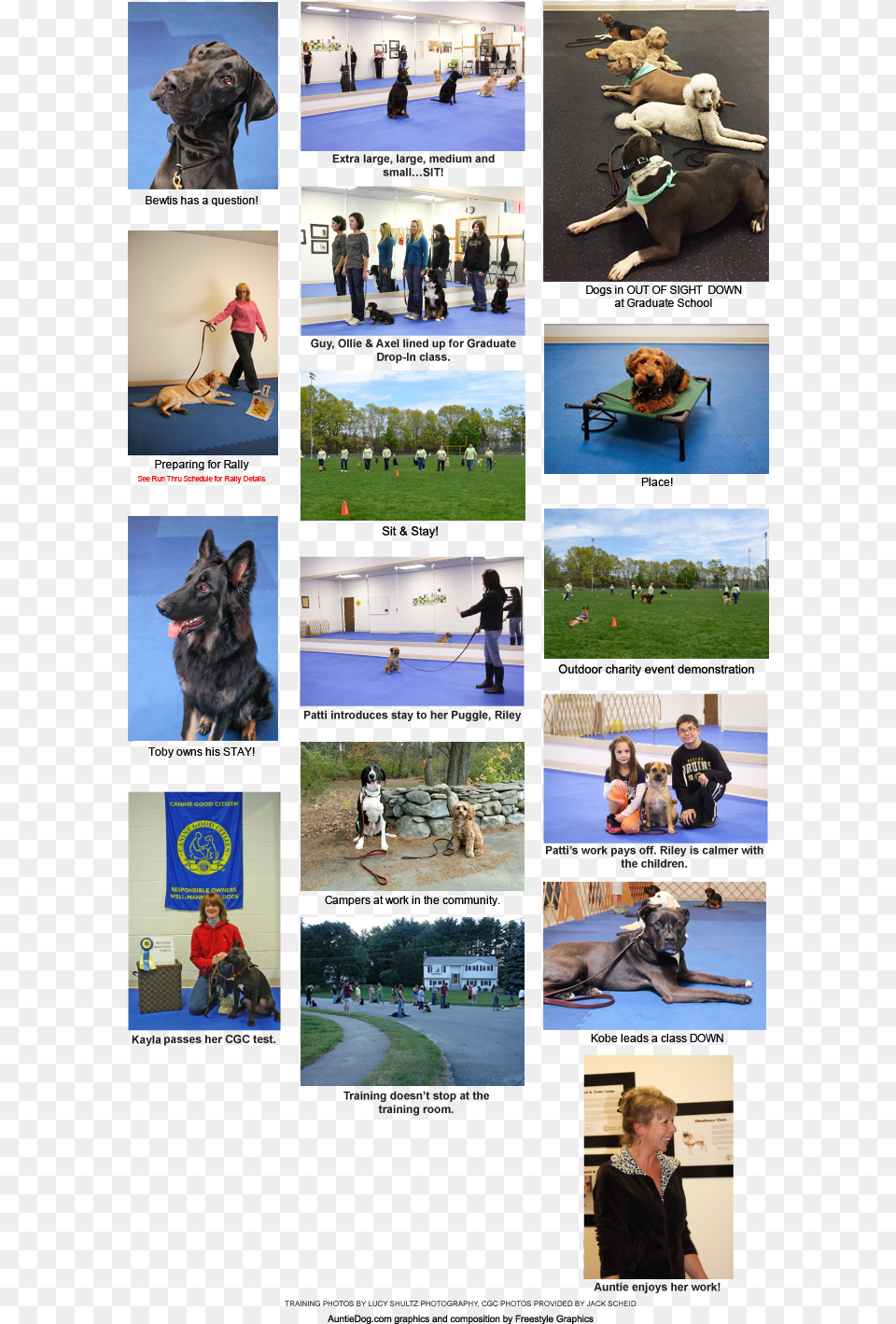 Police Dog Download Police Dog, Adult, Person, Female, Collage Free Png