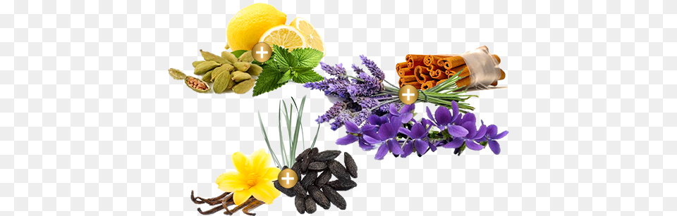 Police To Be Camouflage Bouquet, Herbal, Plant, Herbs, Flower Free Transparent Png