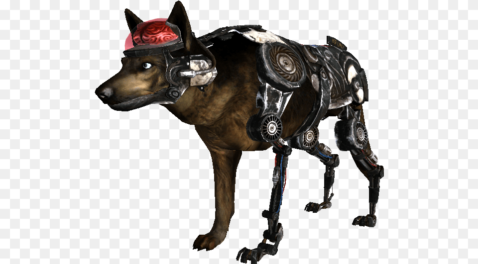 Policecyberdog Fallout Nv Fan Art, Animal, Canine, Dog, Mammal Free Png Download