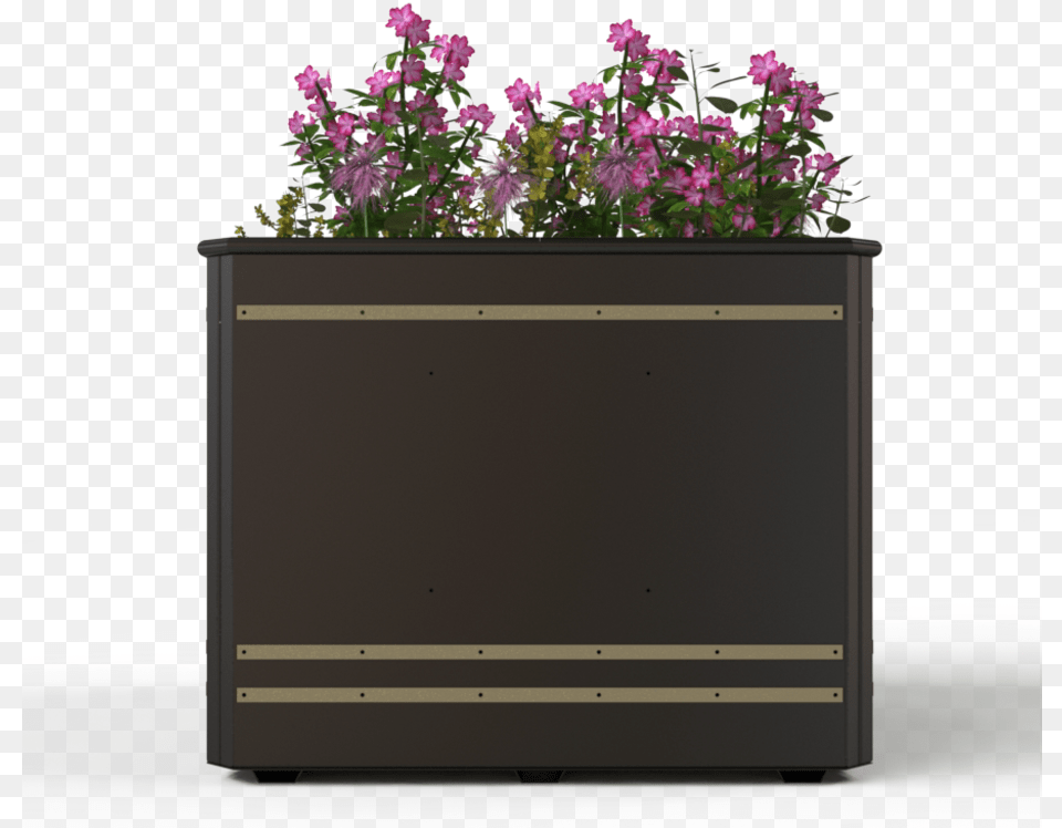 Policy Bellflower, Vase, Pottery, Potted Plant, Planter Png