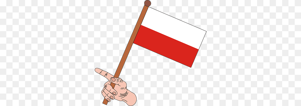 Polish Flag Baby, Person Png Image