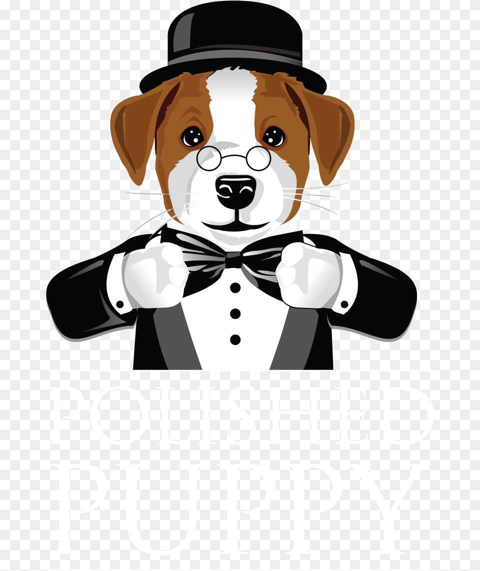 Polished Puppy Helping Puppies Reach Their Full Potential Beaglier, Accessories, Formal Wear, Tie, Canine Png Image