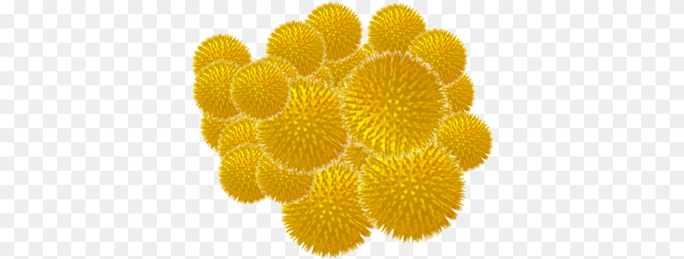 Pollen Capitol Shine Ceramic Pro Dc Pollen Grains Under A Microscope, Food, Fruit, Plant, Produce Free Transparent Png