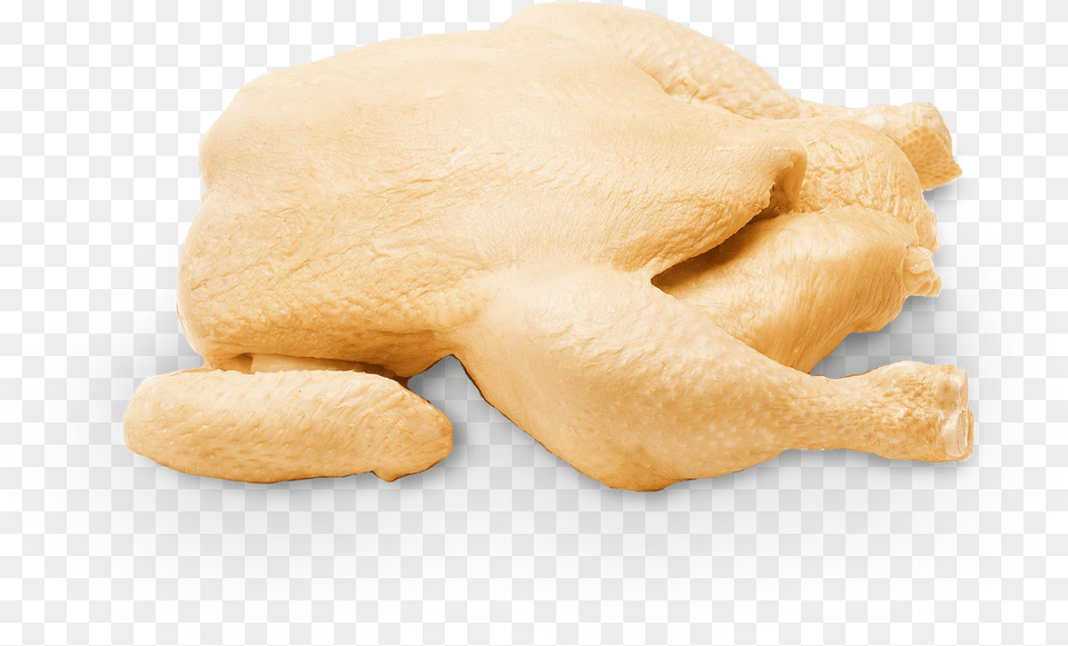 Pollo Entero, Animal, Bear, Mammal, Wildlife Free Png