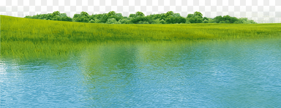 Polluted River Clipart Freshwater Marsh, Water, Pond, Plant, Outdoors Free Transparent Png
