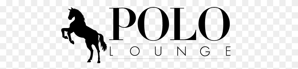 Polo Lounge, Gray Free Png